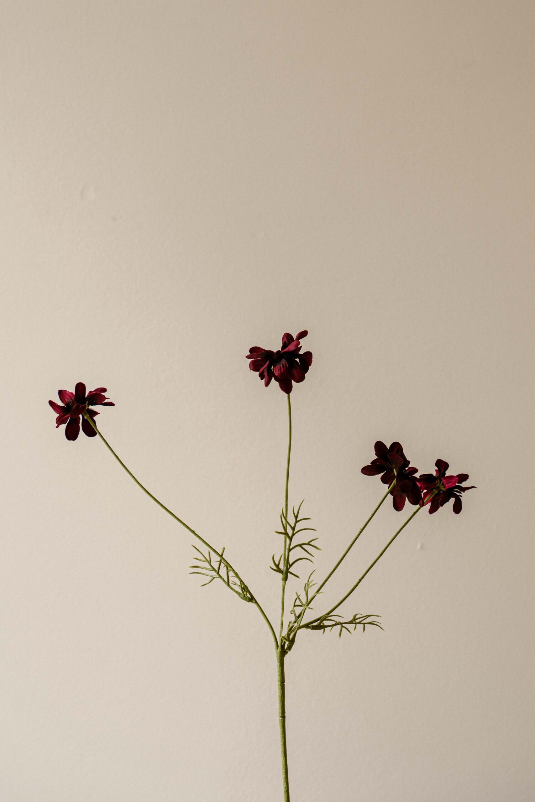 Indore Silva - Madeliefje - Paars - kunsttak - zijde