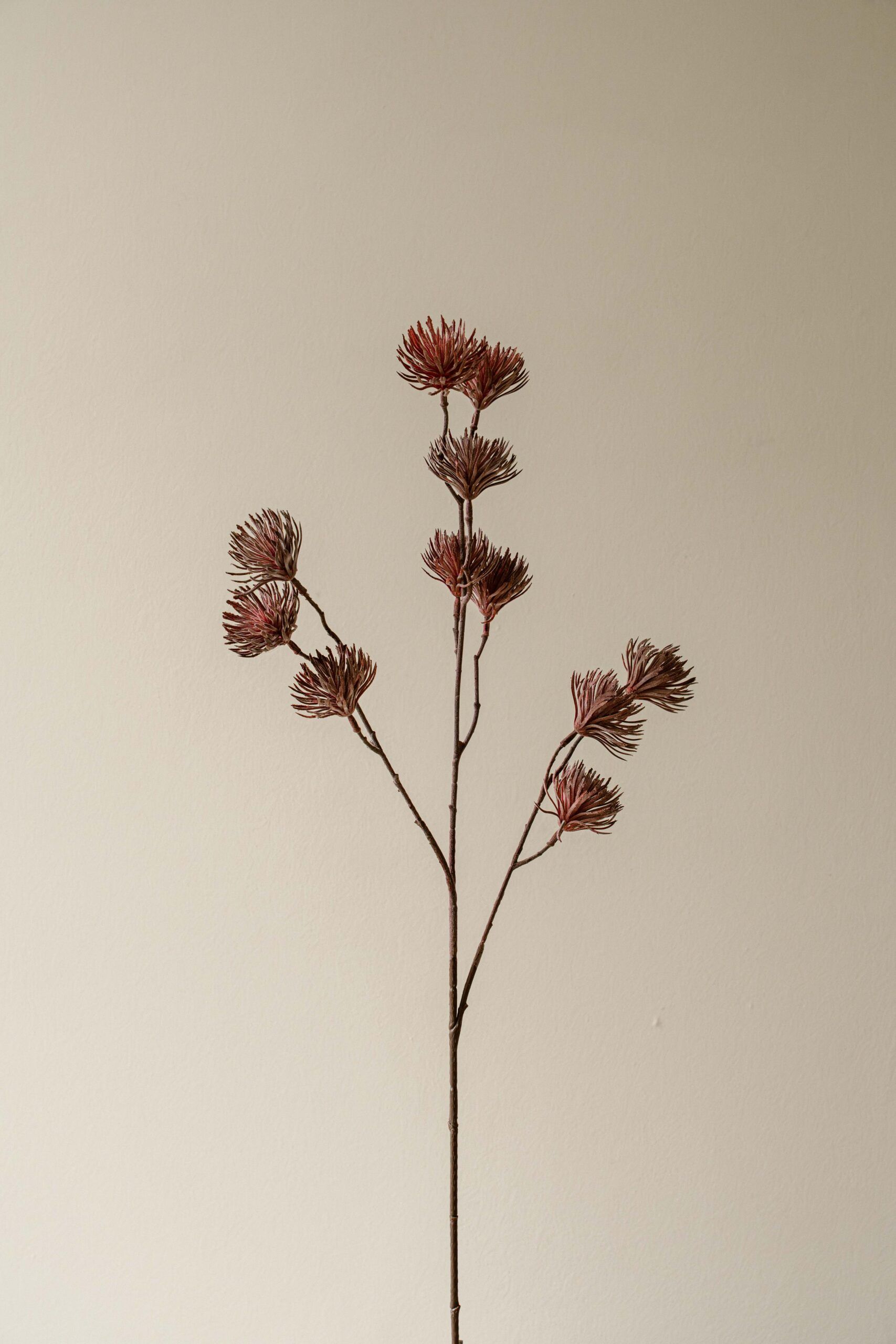 Indore Silva - Chrysant - Paars - kunsttak - zijde