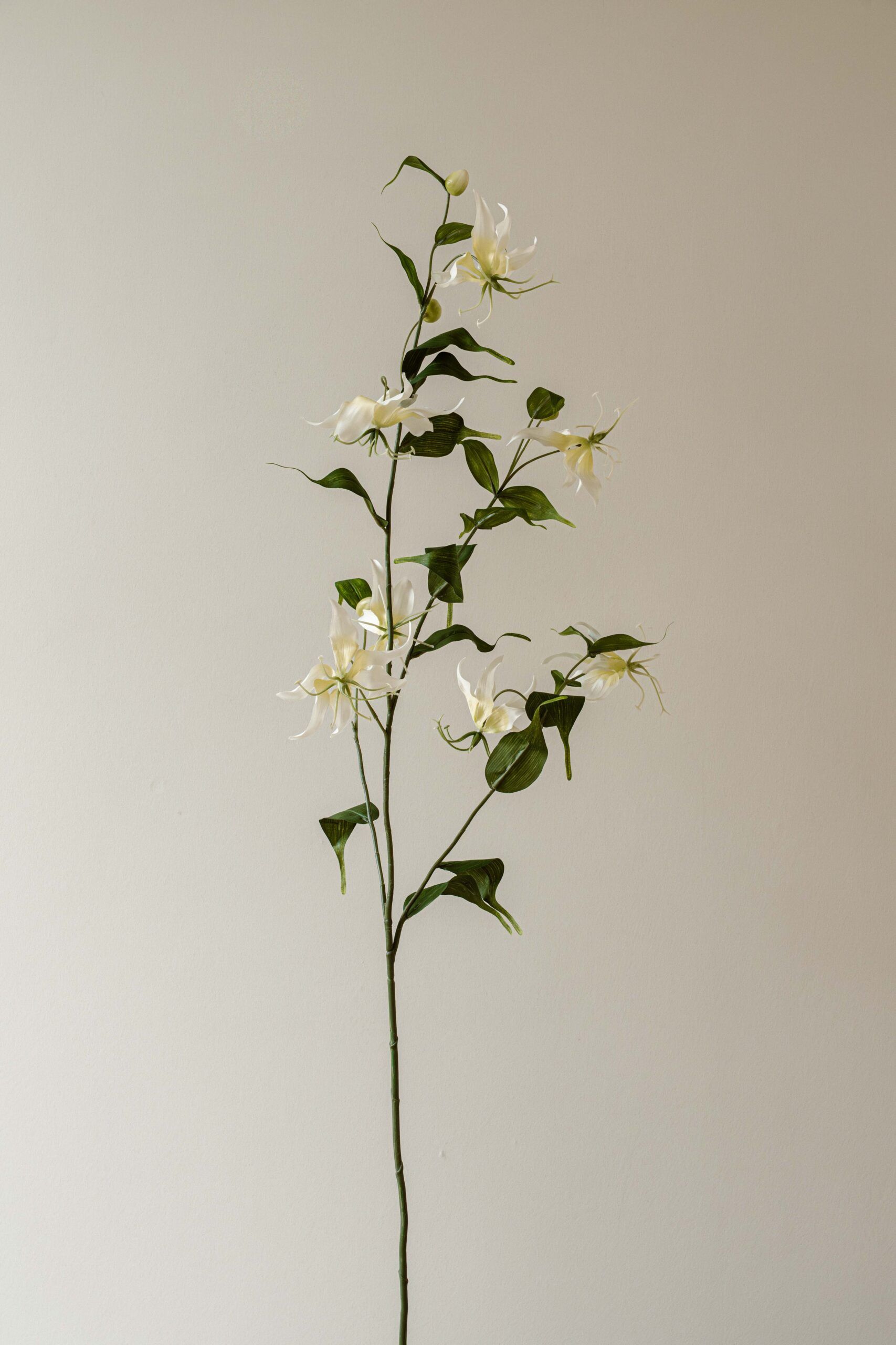 Indore Silva - Lely - Wit - kunsttak - zijde