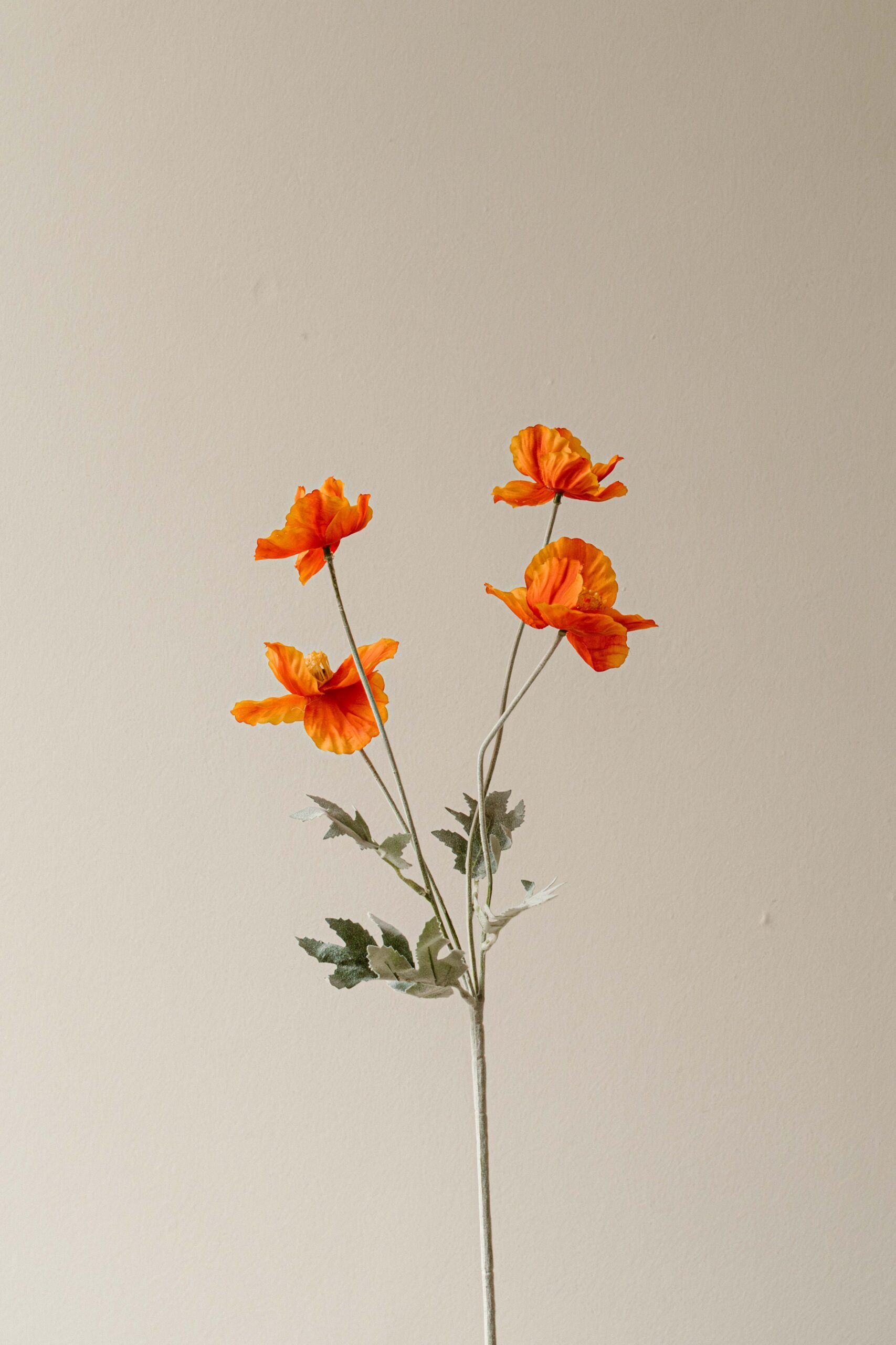 Indore Silva - Klaproos - Oranje - 4 Bloemen - kunsttak - zijde