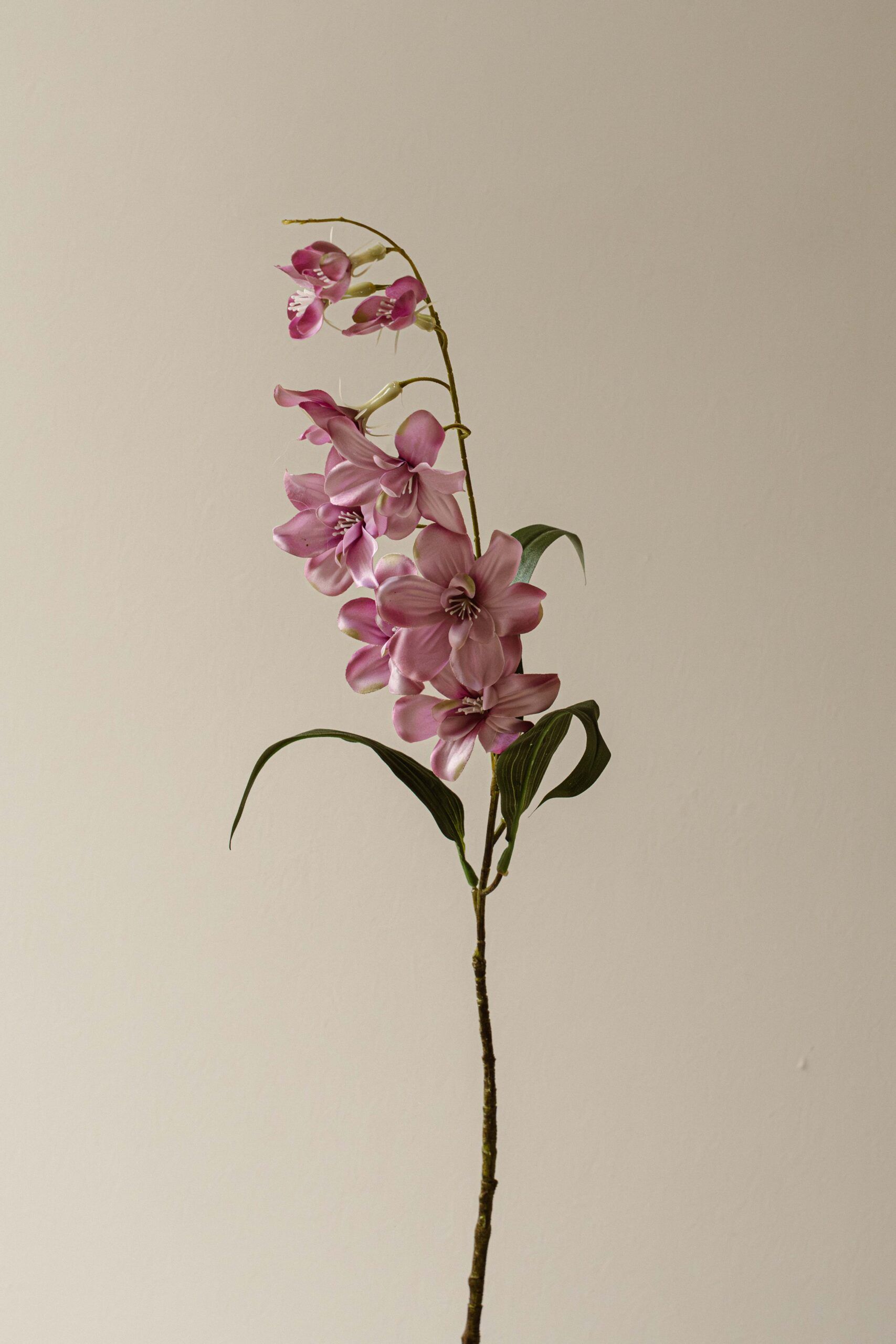 Indore Silva - orchidea - Roze - kunsttak - zijde