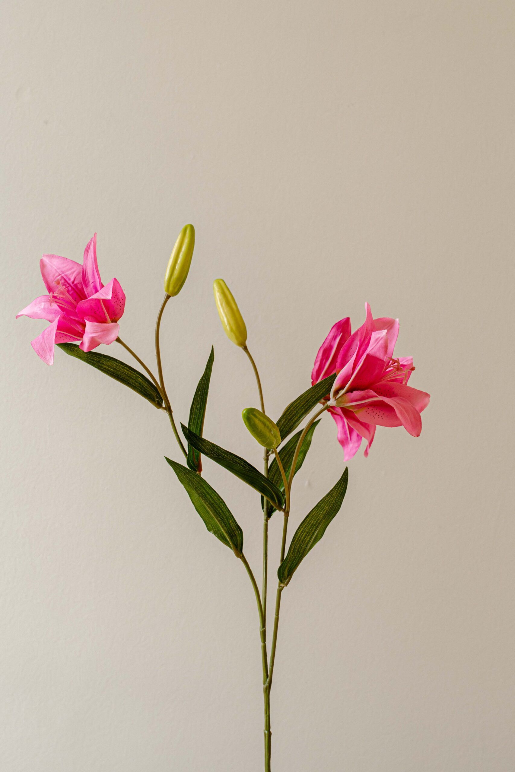 Indore Silva - Lely - Paars - kunsttak - zijde