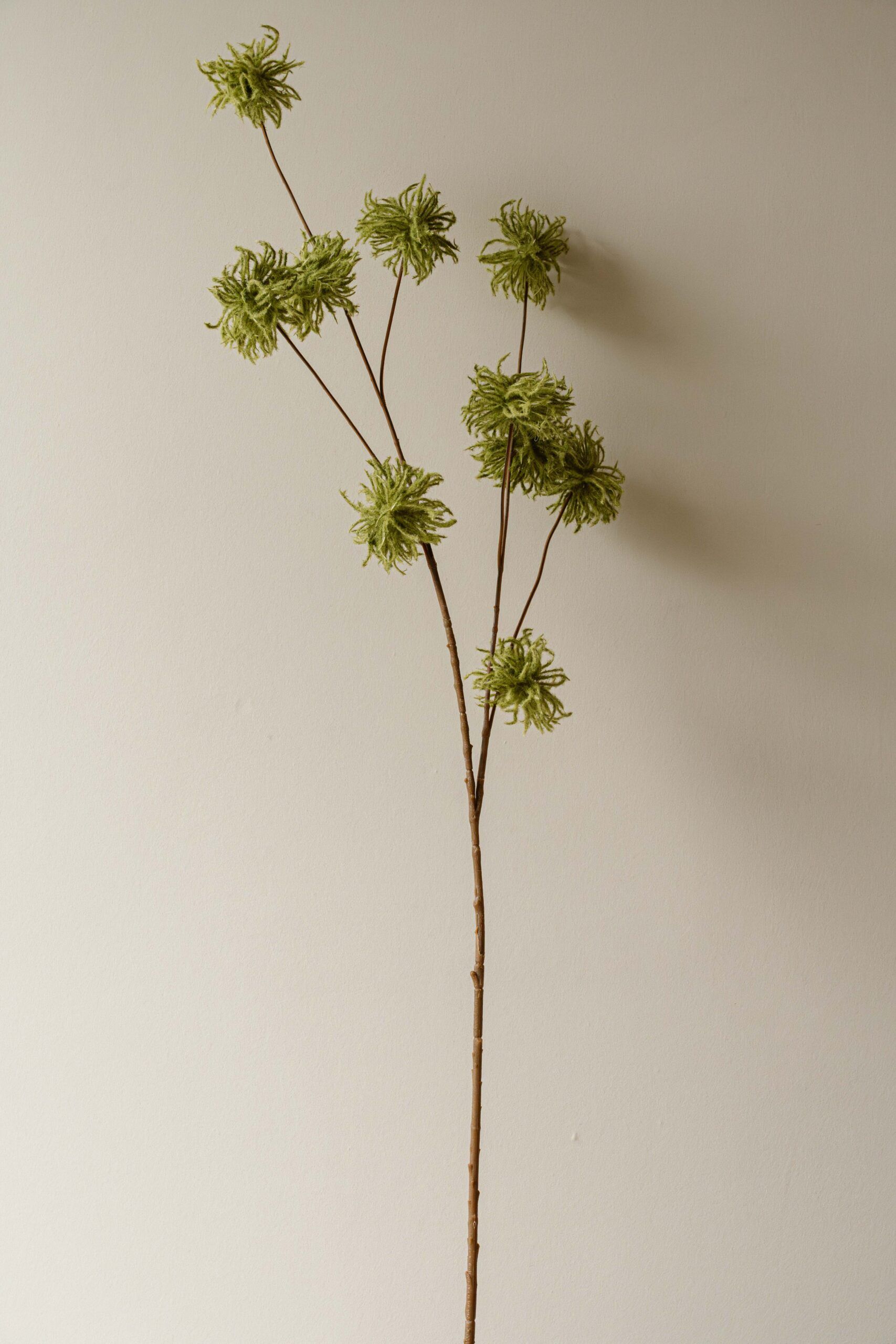 Indore Silva - Allium Bulbs - Groen - kunsttak - zijde