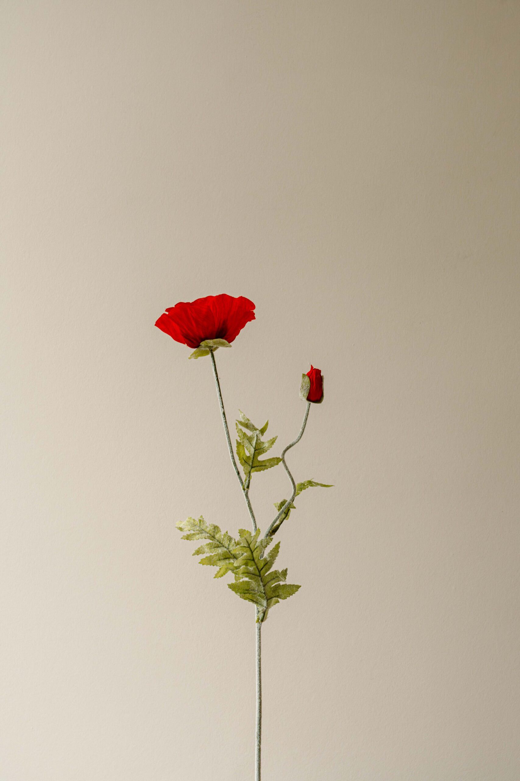 Indore Silva - Klaproos - Rood - kunsttak - zijde