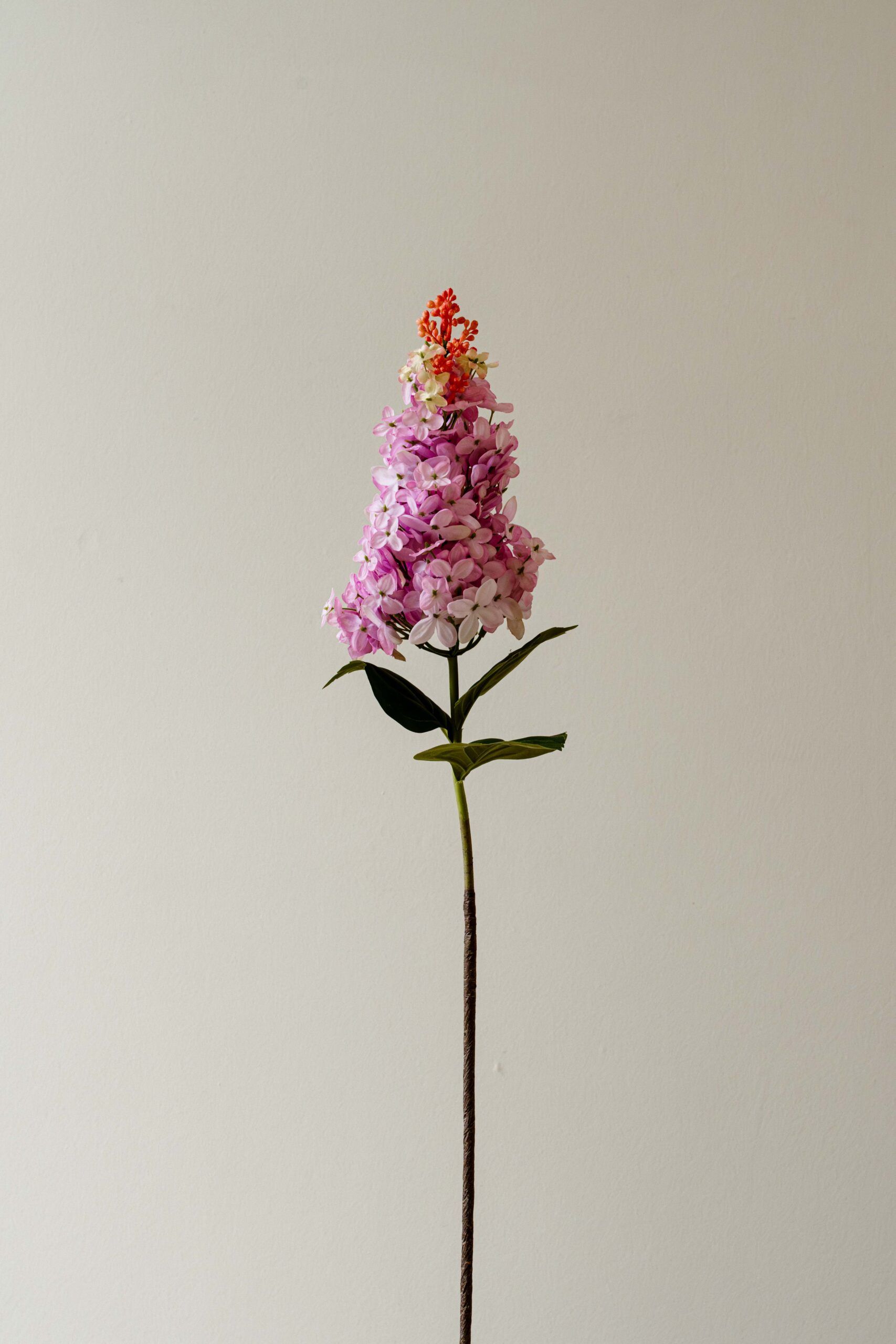 Indore Silva - Sering - Paars - kunsttak - zijde