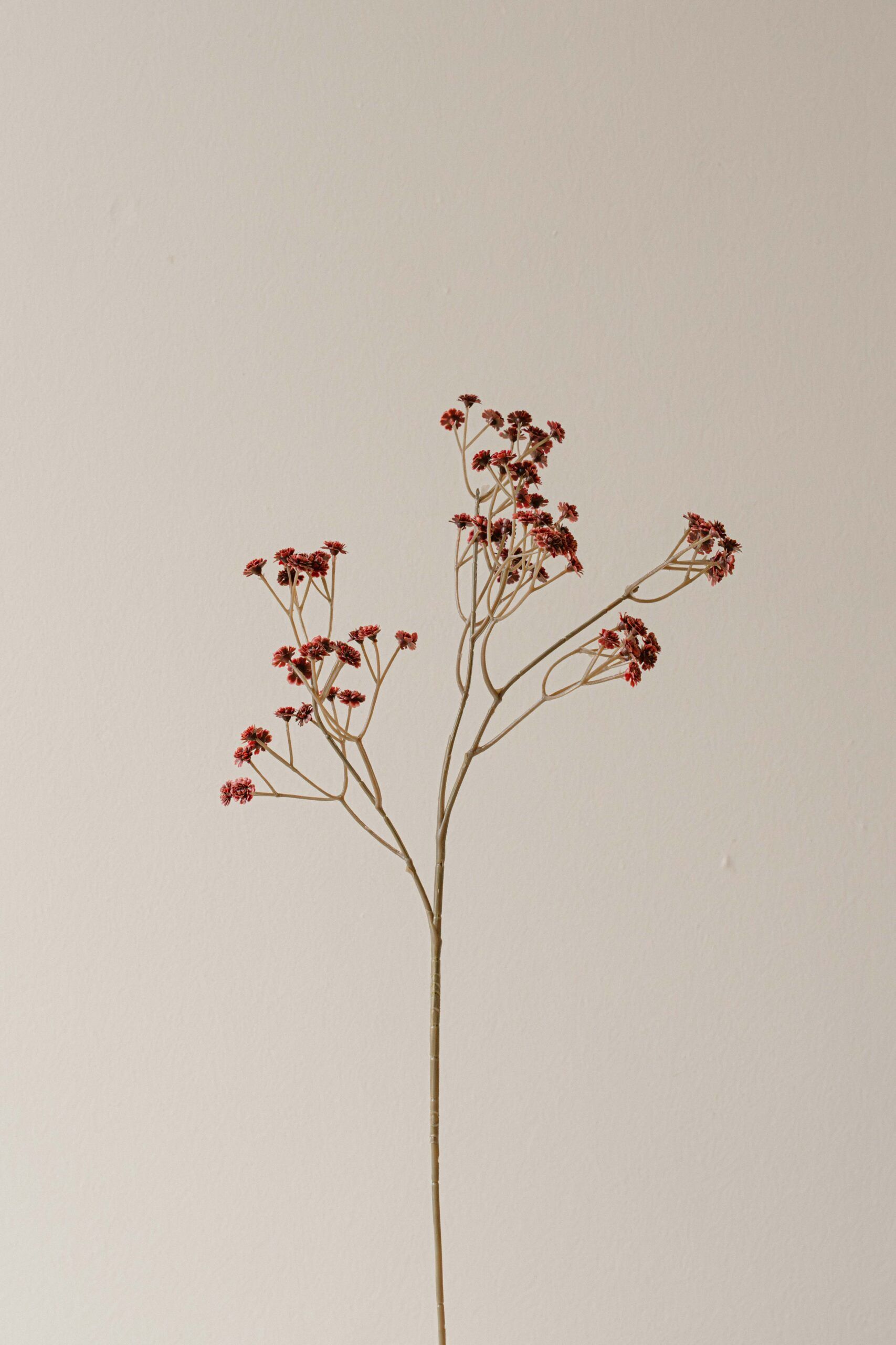 Indore Silva - Gipskruid - Roze - kunsttak - zijde