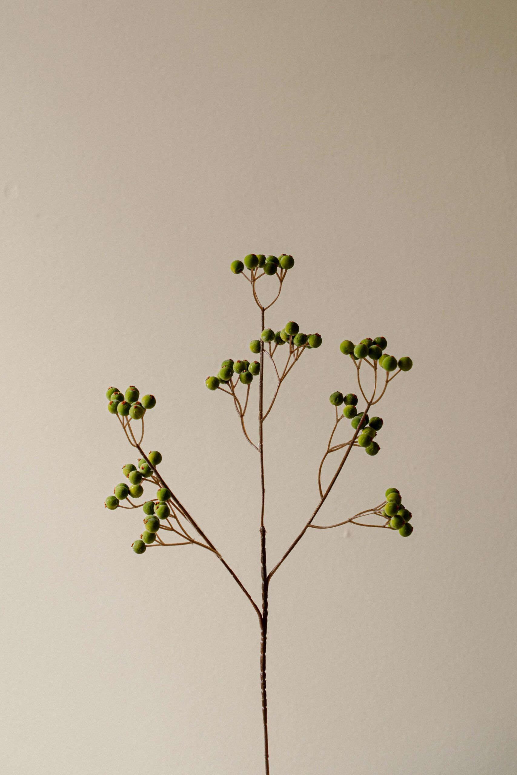 Indore Silva - Berry - groen - kunsttak - zijde