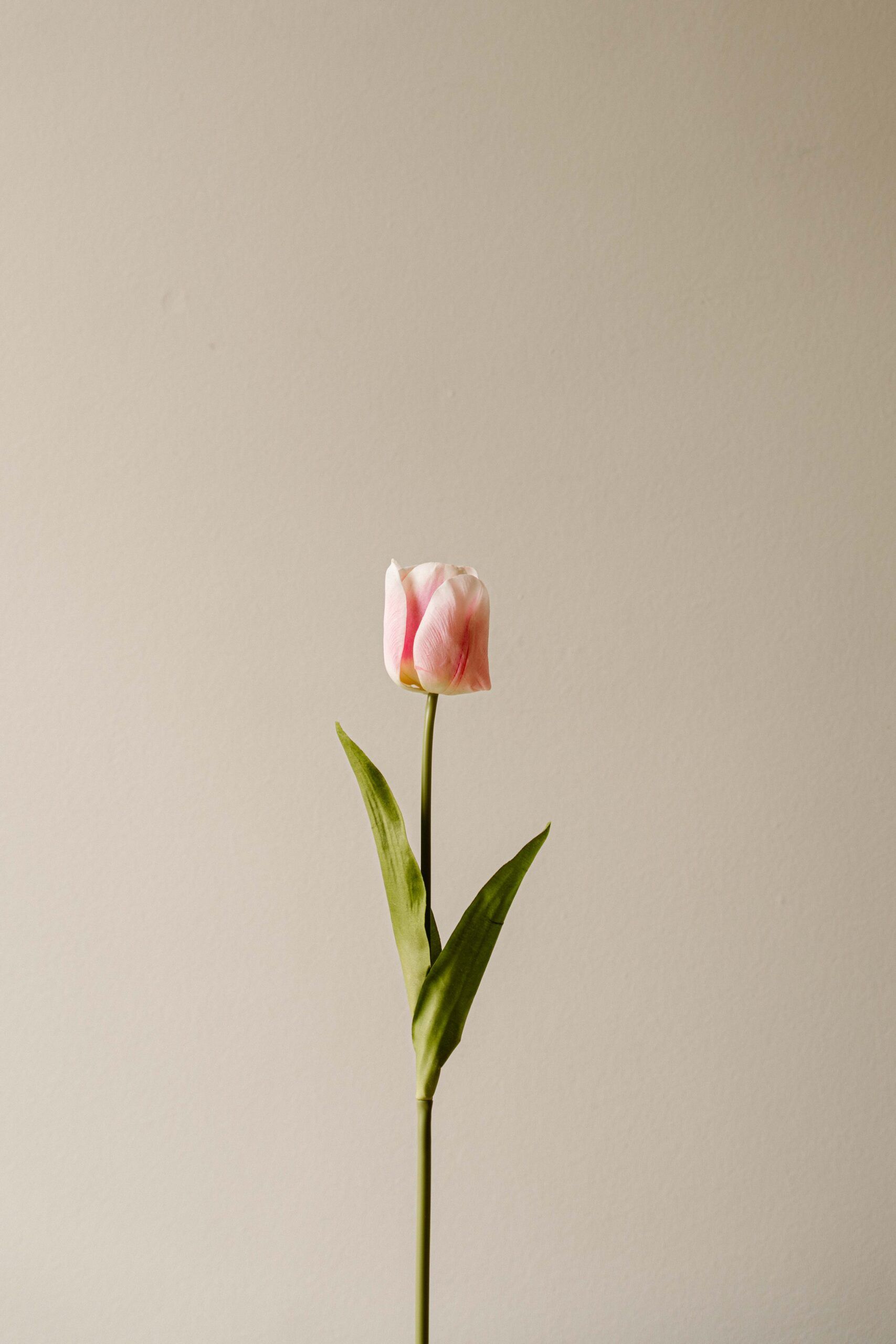 Indore Silva - Tulp - Licht Roze - kunsttak - zijde