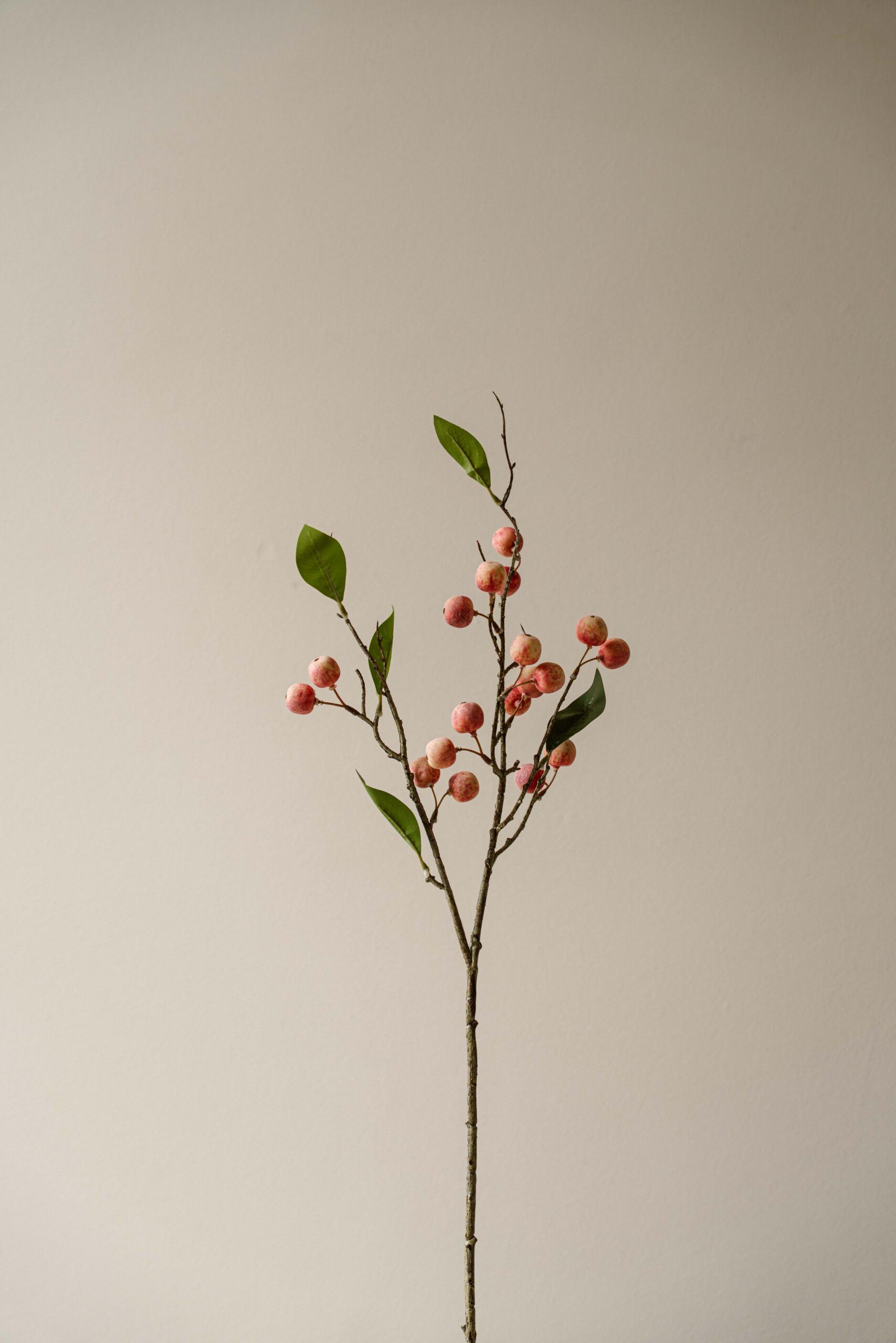 Indore Silva - Mini appel - Licht roze - kunsttak - zijde