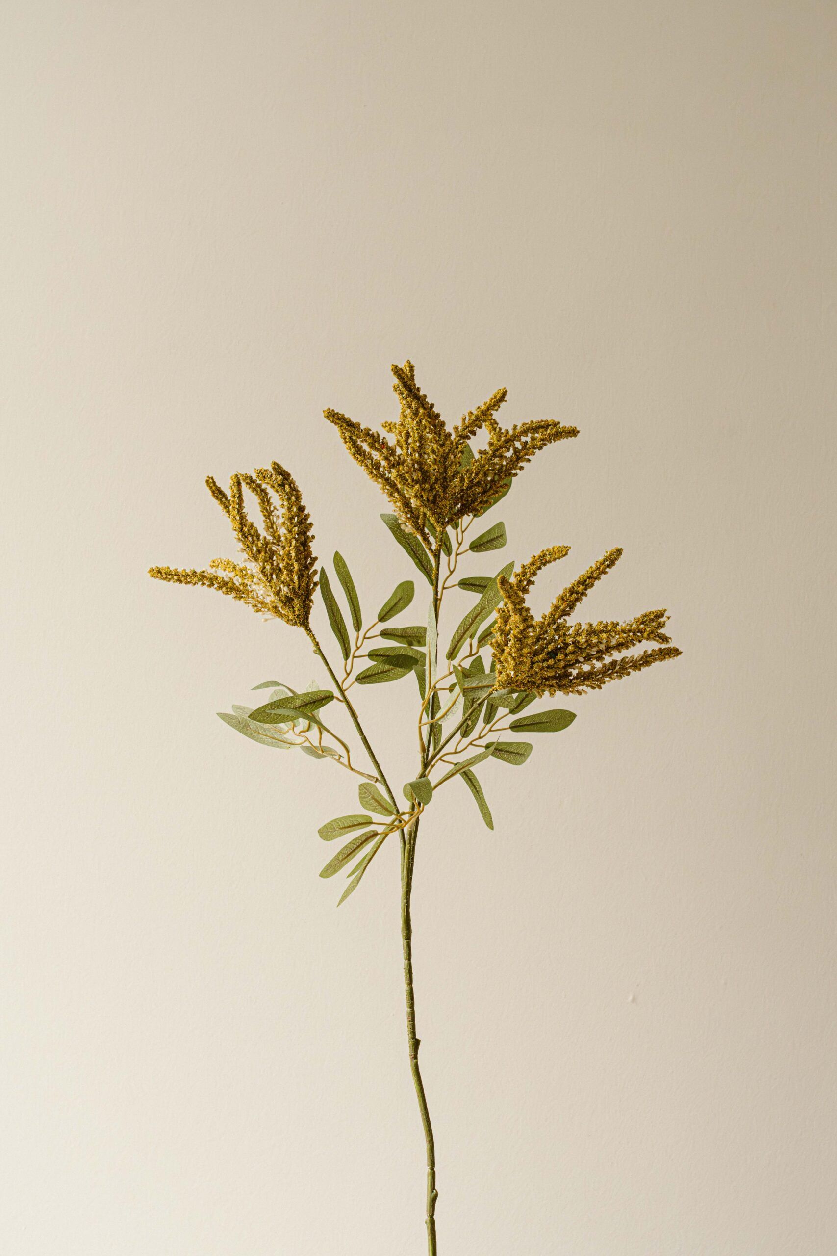 Indore Silva - Padauk - Geel - kunsttak - zijde