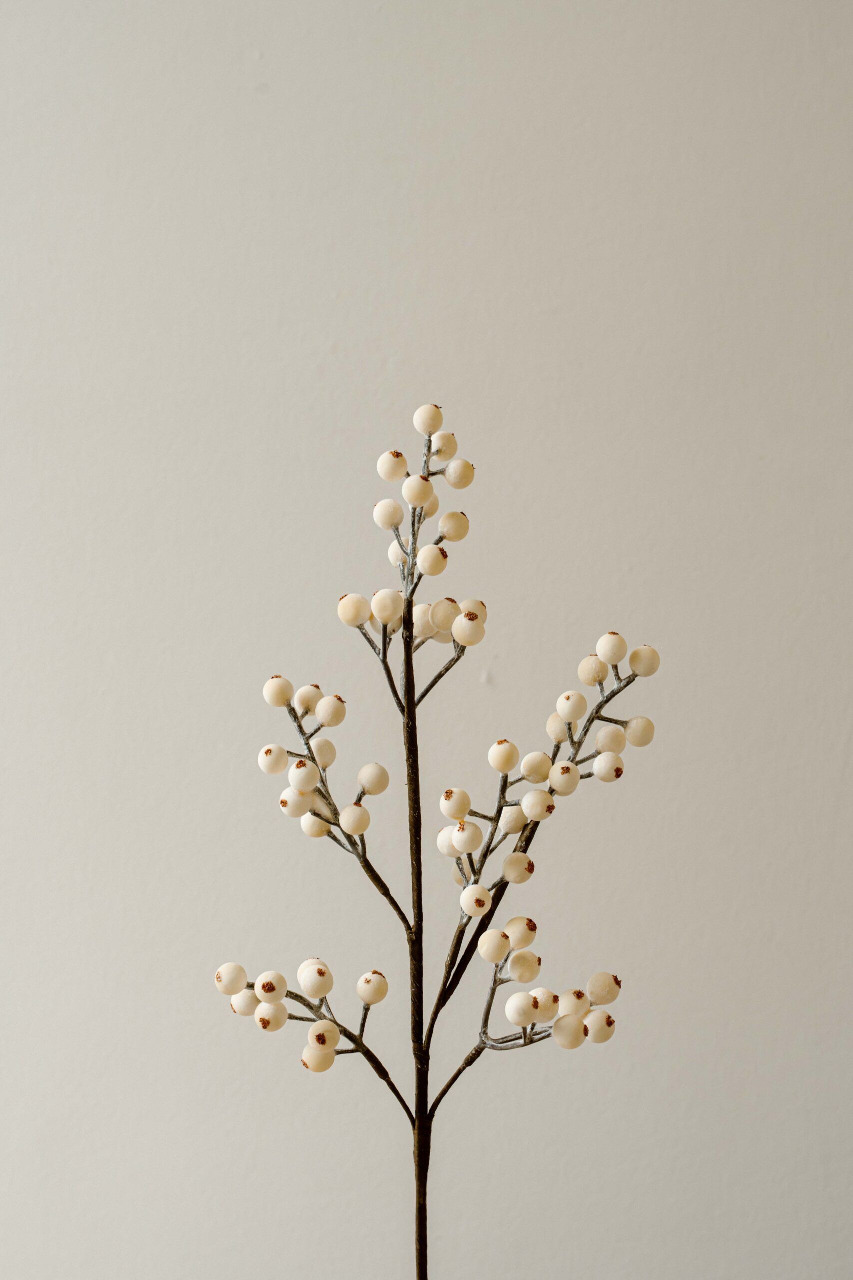 Indore Silva - Bessentak - Wit - kunsttak - zijde