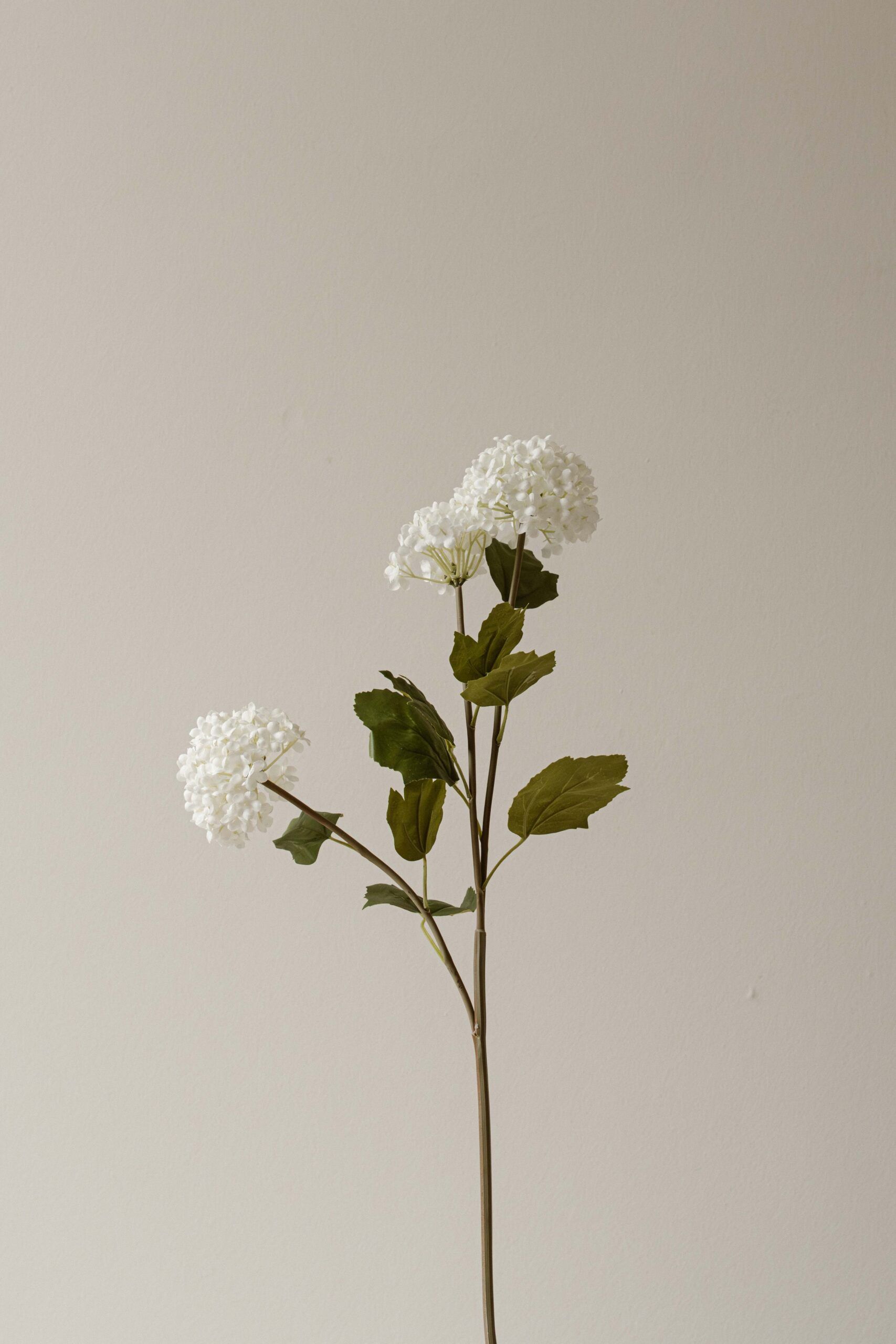 Indore Silva - Annabelle - Wit - kunsttak - zijde