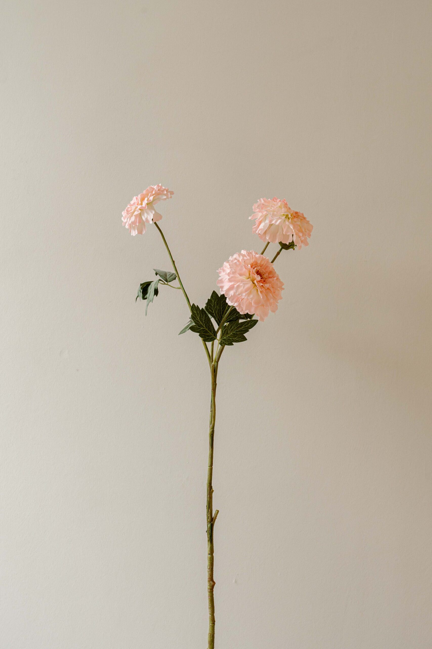 Indore Silva - Tagetes erecta - Roze - kunsttak - zijde