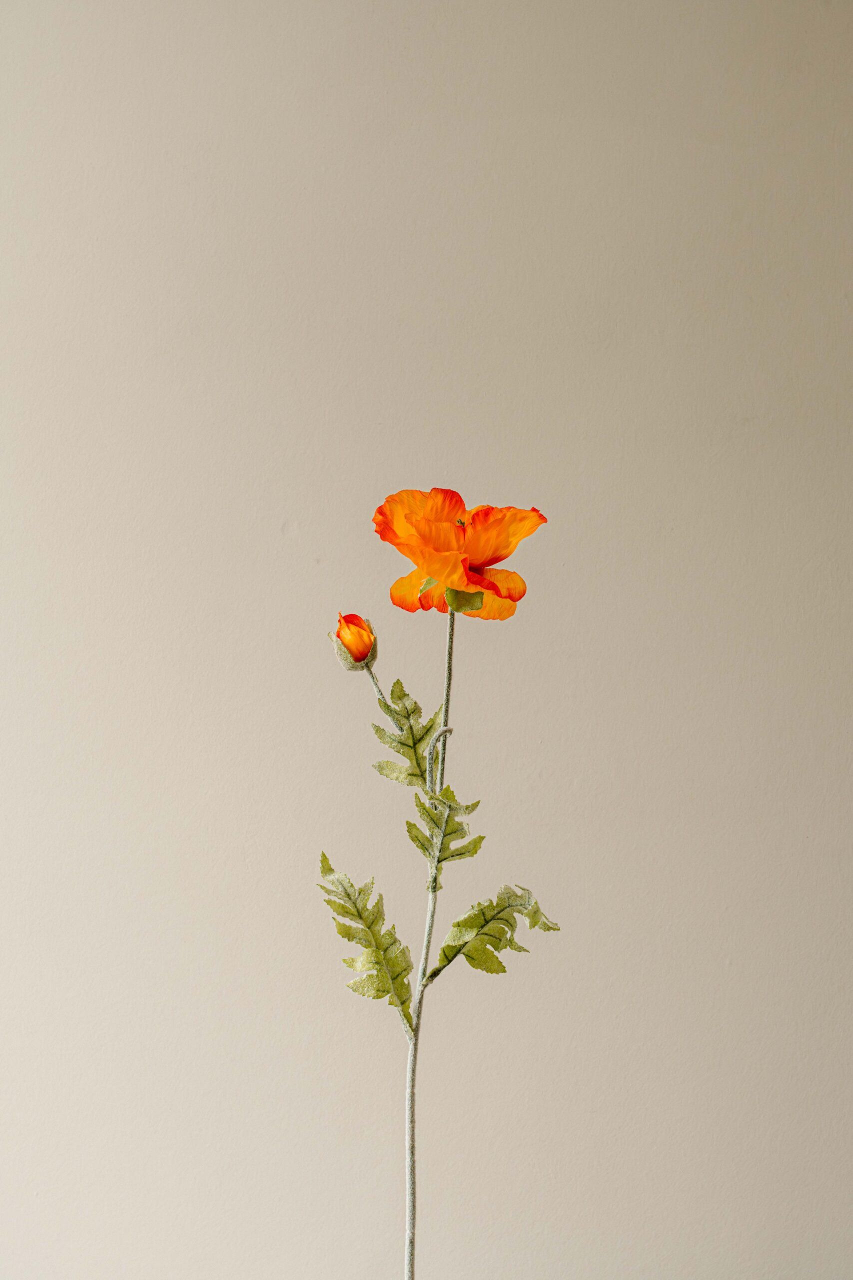 Indore Silva - Klaproos - Oranje - kunsttak - zijde