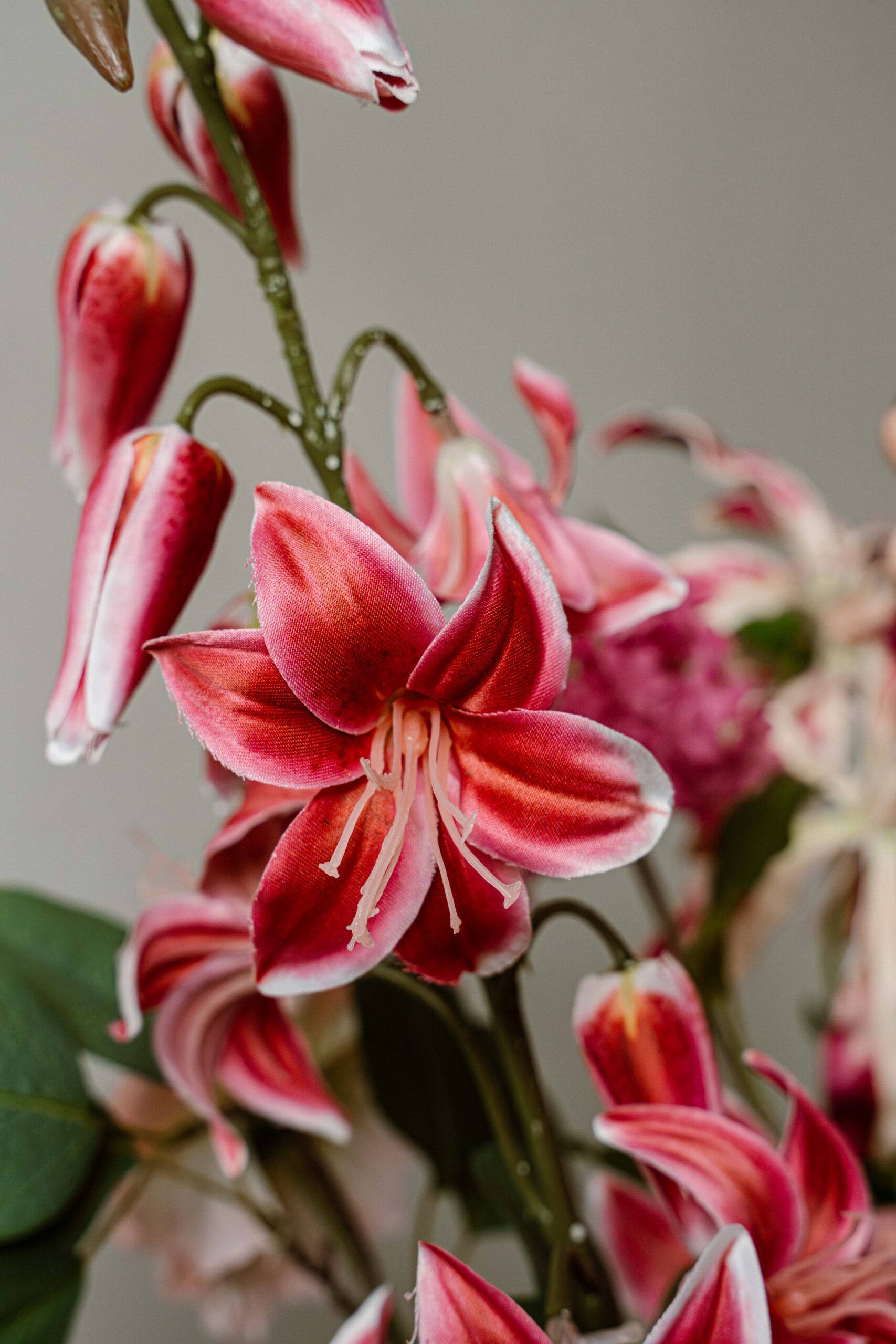 Cadeau zijdenboeket - Roze - Afbeelding 3