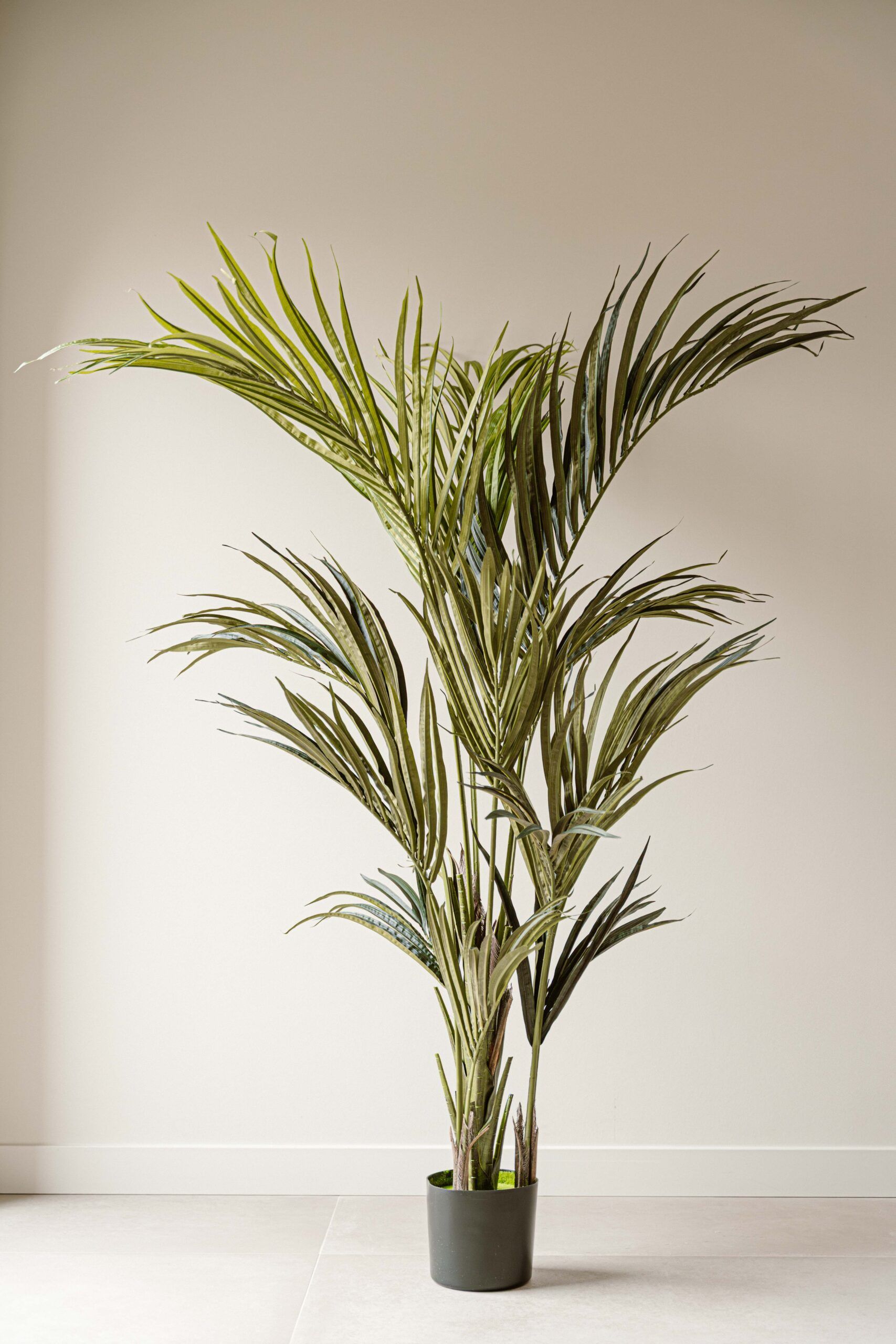 Indore Silva - Kunstplant Kentia Palm - 180cm - Levertijd 2-3 weken