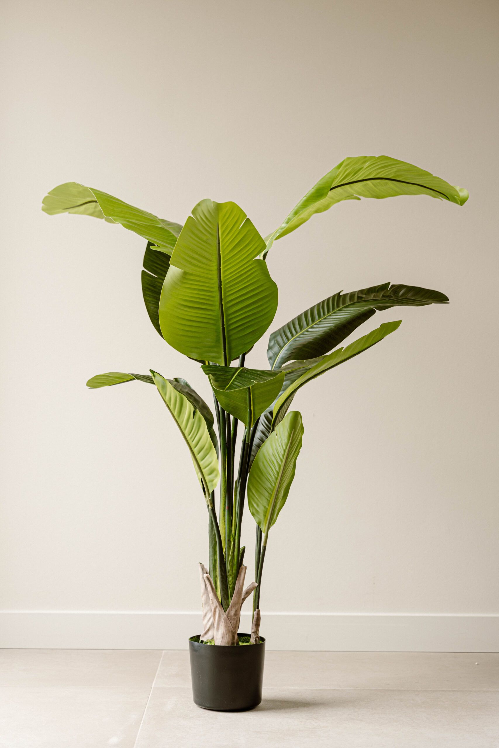 Indore Silva - Kunstplant Strelitzia - 160cm - Levertijd 2-3 weken