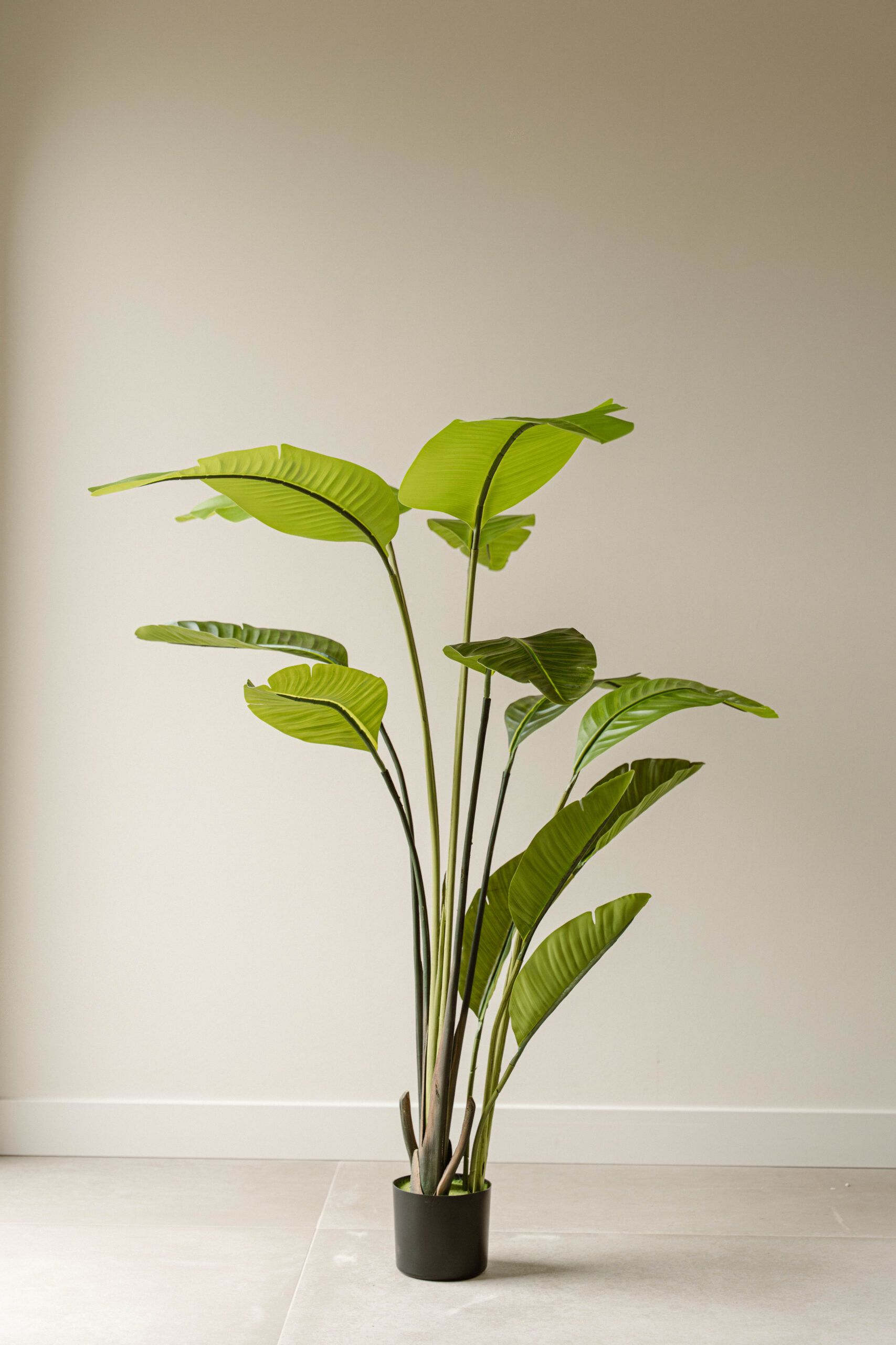 Indore Silva - Kunstplant Strelitzia - 150cm