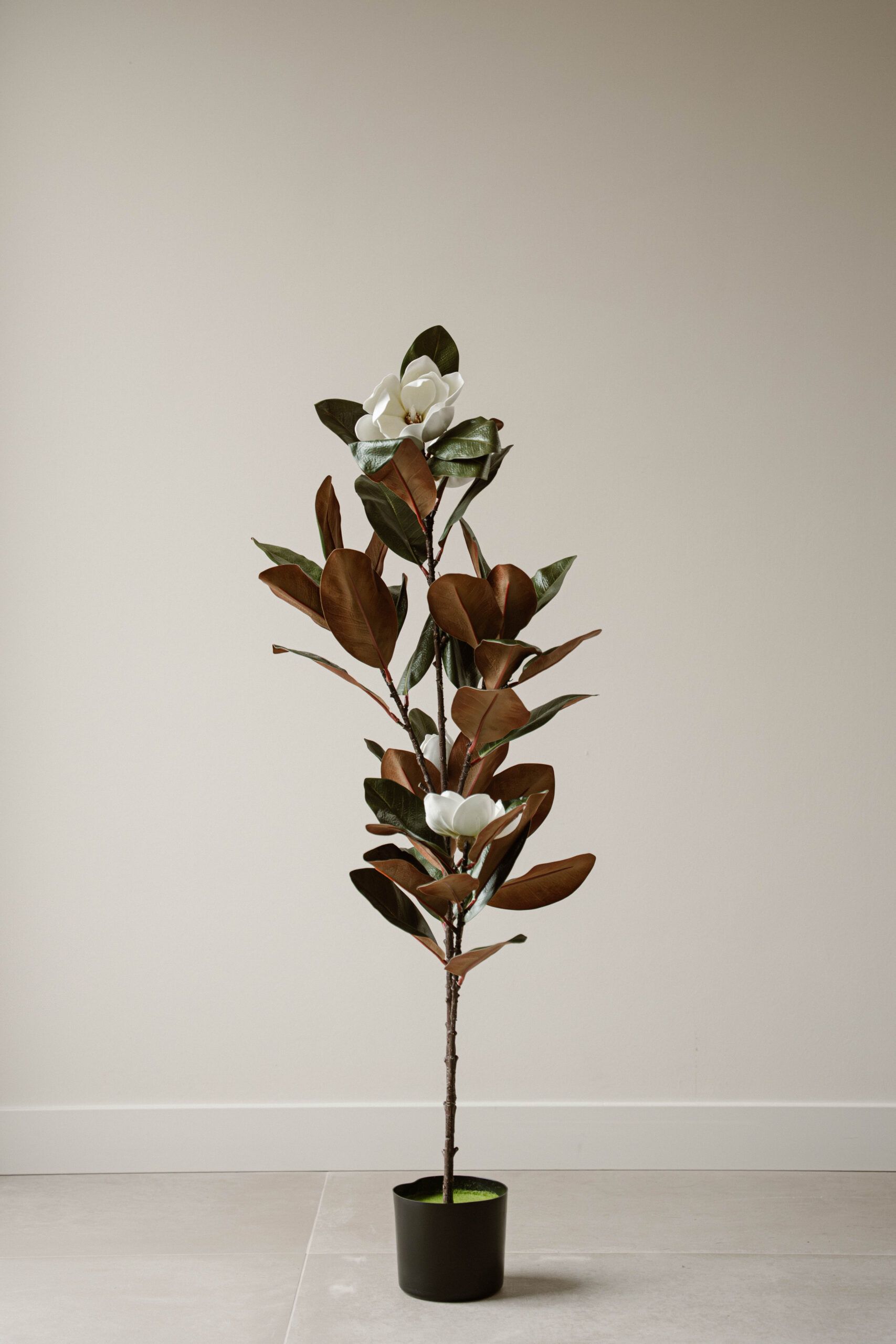 Indore Silva - Kunstplant Magnolia - 120cm