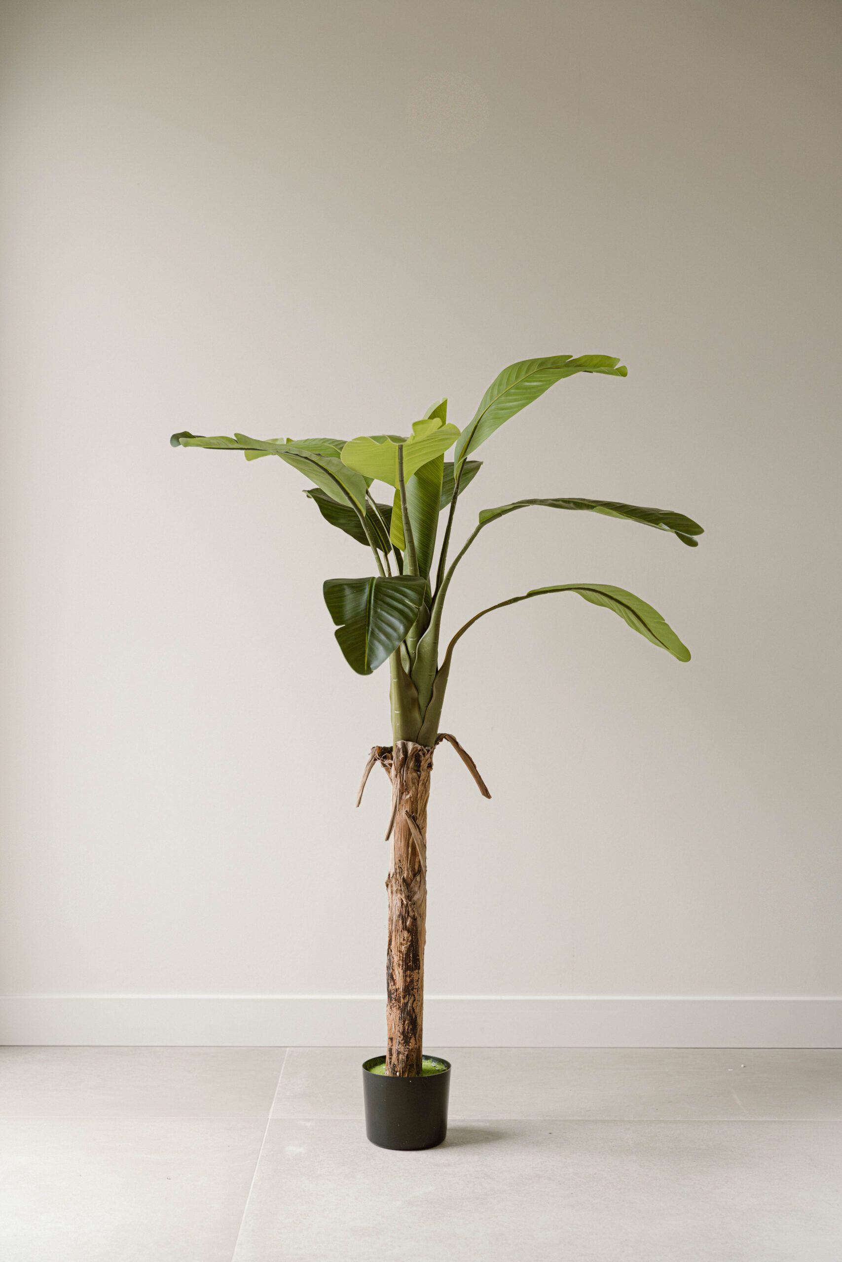 Indore Silva - Kunstplant Banaan - 120cm - Levertijd 1-2 weken