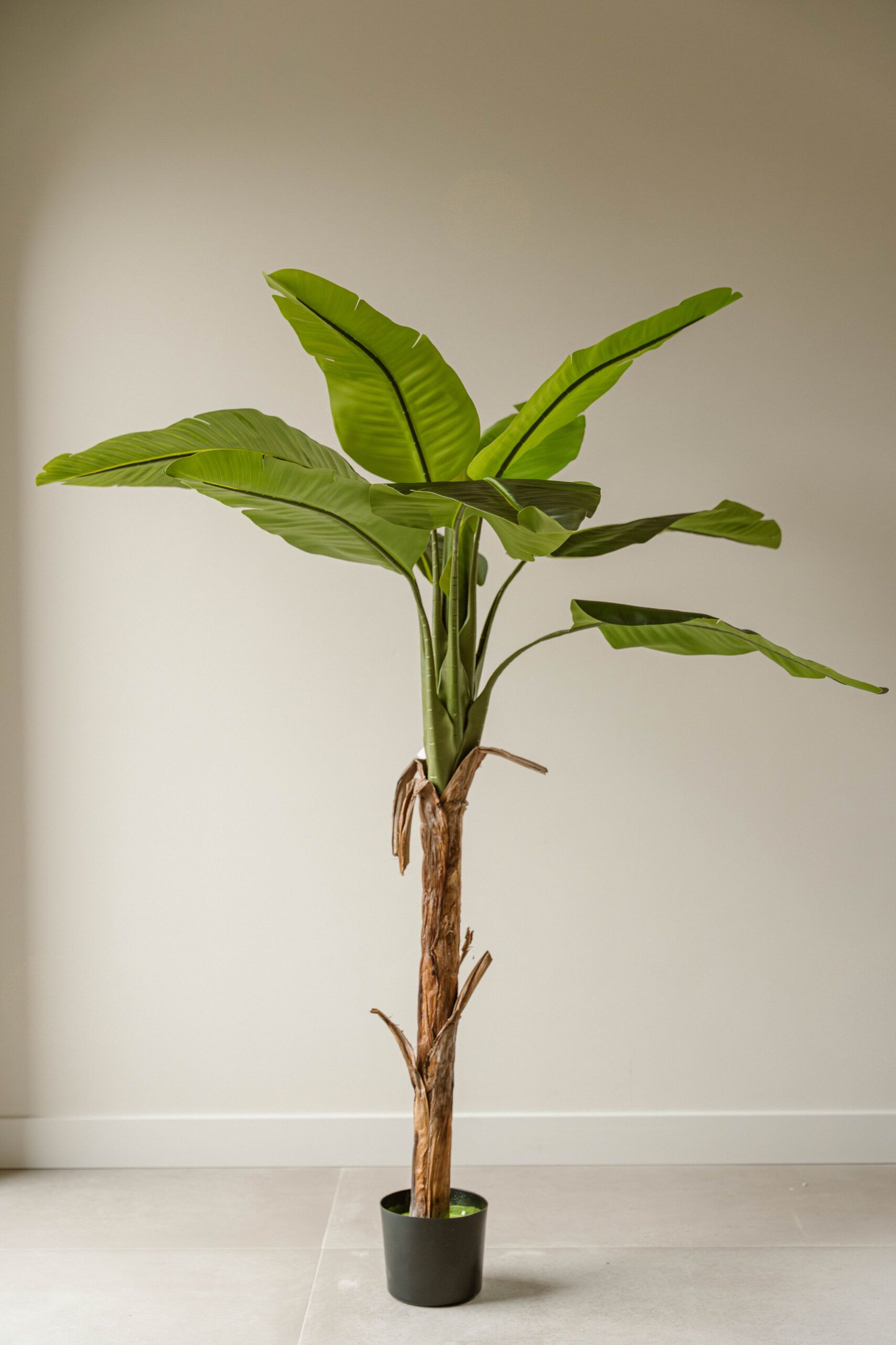 Indore Silva - Kunstplant Banaan - 170cm - Levertijd 1-2 weken